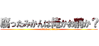 腐ったみかんは俺かお前か？ (attack on titan)