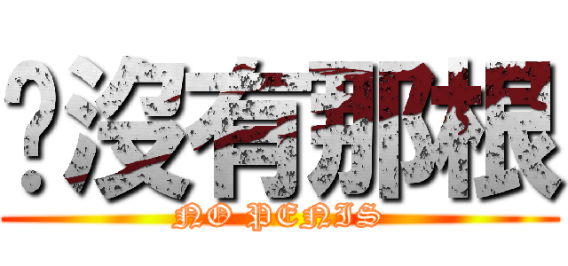 你沒有那根 (NO PENIS)