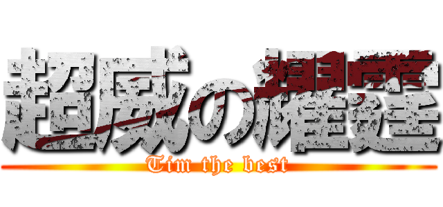 超威の耀霆 (Tim the best)