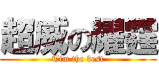 超威の耀霆 (Tim the best)