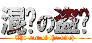 混账の盗贼 (The son of the bitch)