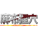 麻布狸穴 (mamiana)