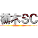 栃木ＳＣ (ＴＯＣＨＩＧＩ　ＳＣ)