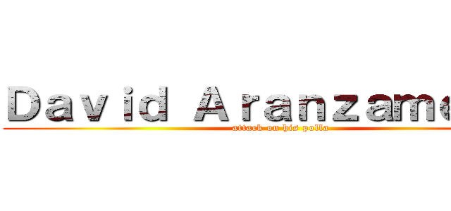 Ｄａｖｉｄ Ａｒａｎｚａｍｅｎｄｉ (attack on his polla)