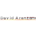 Ｄａｖｉｄ Ａｒａｎｚａｍｅｎｄｉ (attack on his polla)