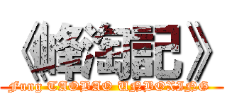 《峰淘記》 (Fung TAOBAO UNBOXING )