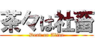 茶々は社畜 (Dead or Alive)