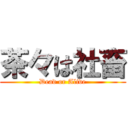 茶々は社畜 (Dead or Alive)