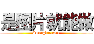 是图片就能做 (2mengdm.com)