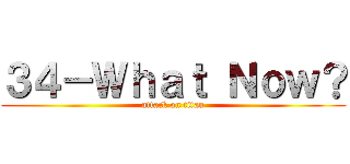 ３４－Ｗｈａｔ Ｎｏｗ？ (attack on titan)
