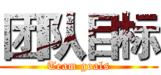团队目标 (Team goals)
