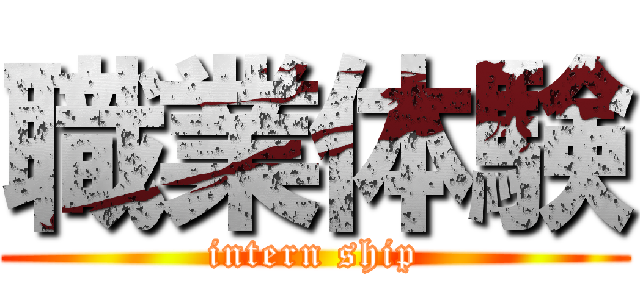 職業体験 (intern ship)