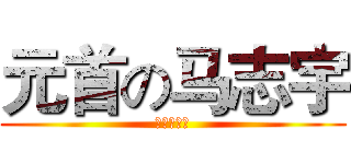 元首の马志宇 (我们不一样)
