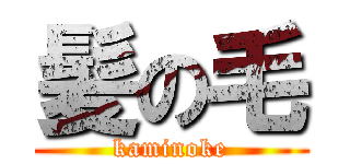 髪の毛 (kaminoke)