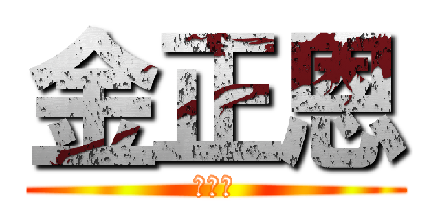 金正恩 (金正恩)