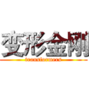 变形金刚 (transformers)
