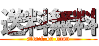 送料無料 (attack on titan)