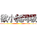 欲小昶河圾 ()
