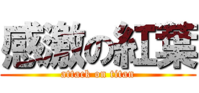 感激の紅葉 (attack on titan)