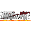 進撃の翔翎 (attack on Shiang Lin)