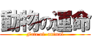 動物の運命 (Fate of  animal)