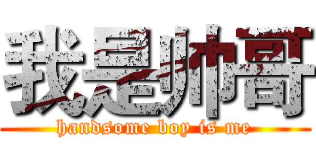 我是帅哥 (handsome boy is me)