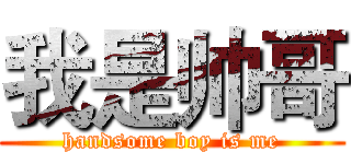 我是帅哥 (handsome boy is me)