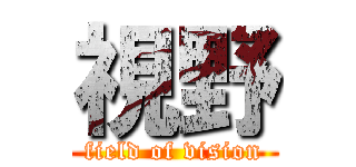 視野 (field of vision)