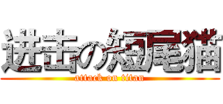 进击の短尾猫 (attack on titan)