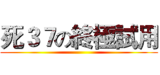 死３７の終極試用 ()