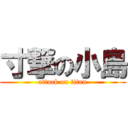 寸撃の小島 (attack on titan)