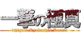 一撃の極真 (ichigeki Kyokushin Karate)