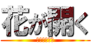 花が開く (立ち入り禁止)
