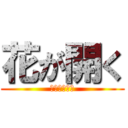 花が開く (立ち入り禁止)