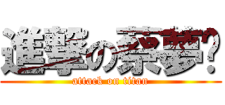 進撃の蔡夢爹 (attack on titan)
