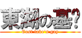 東湖の基佬 (East lake\'s gay)