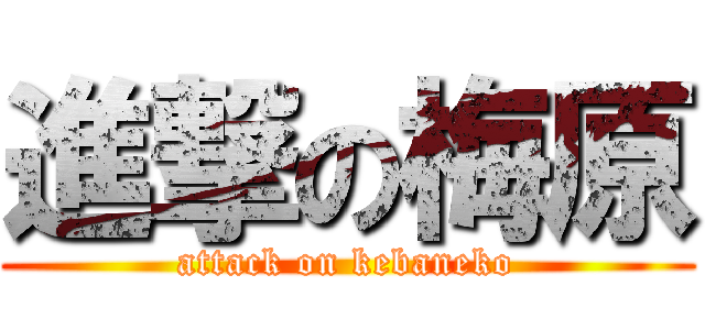 進撃の梅原 (attack on kebaneko)