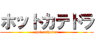 ホットカテドラ (hot cathedra)