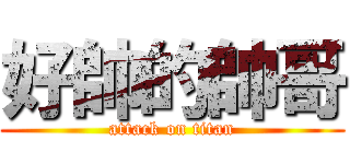 好帥的帥哥 (attack on titan)