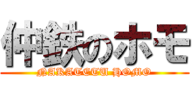 仲鉄のホモ (NAKATETU HOMO)