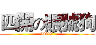 四開の賬號狗 (DOG)