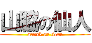 山脇の仙人 (attack on titan)