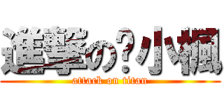 進撃の崴小楓 (attack on titan)
