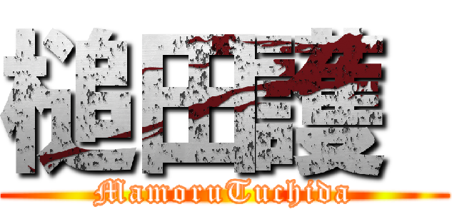 槌田護  (MamoruTuchida)