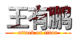 王有鹏 (attack on titan)