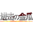 进击の金瓜 (attack on titan)