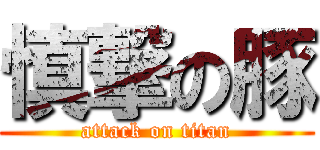 慎撃の豚 (attack on titan)