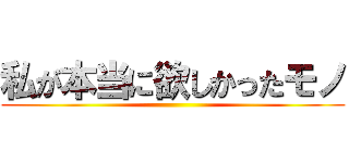 私が本当に欲しかったモノ ()