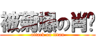 被菊爆の肖飞 (attack on titan)