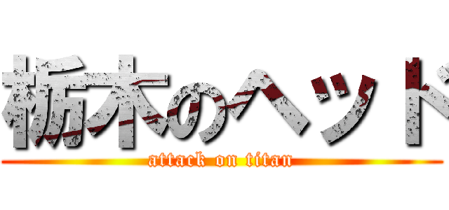栃木のヘッド (attack on titan)